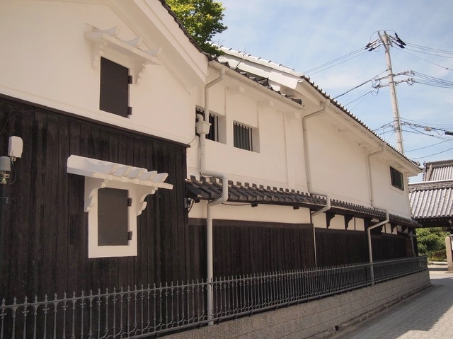 P5123125.JPG