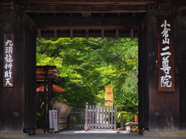 P5265150.JPG
