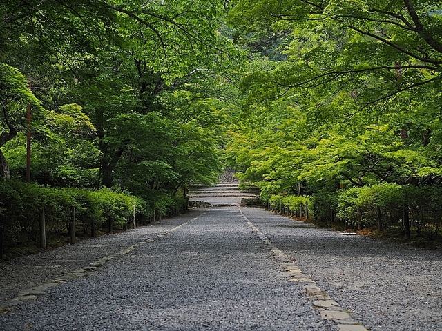 P5265170.JPG