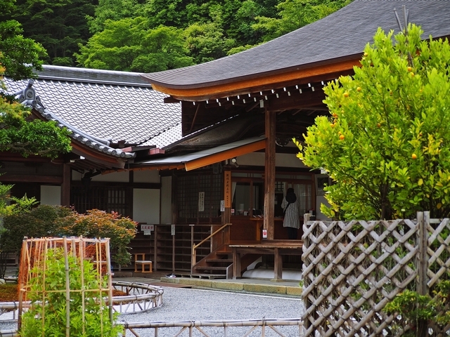 P5265200.JPG